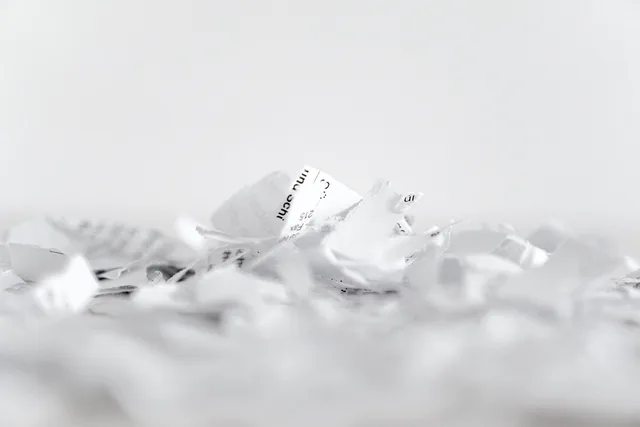 paper, shredder, flakes, recycling, cut, shredded paper, shredding, paper strip, shredded, disposal, document shredder, privacy policy, waste paper, crushed, paper industry, garbage, paper, paper, paper, paper, paper, privacy policy, privacy policy. Celebrity Birth Date Privacy Laws: Open and Sealed Records