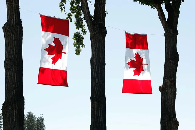canada day, canada, flag, celebration, holiday, nature, country, leaf, maple, national, celebrate, summer, canadian flag, red, day, commemoration. Celebrity birthdays on Canadian statutory holidays: four provinces